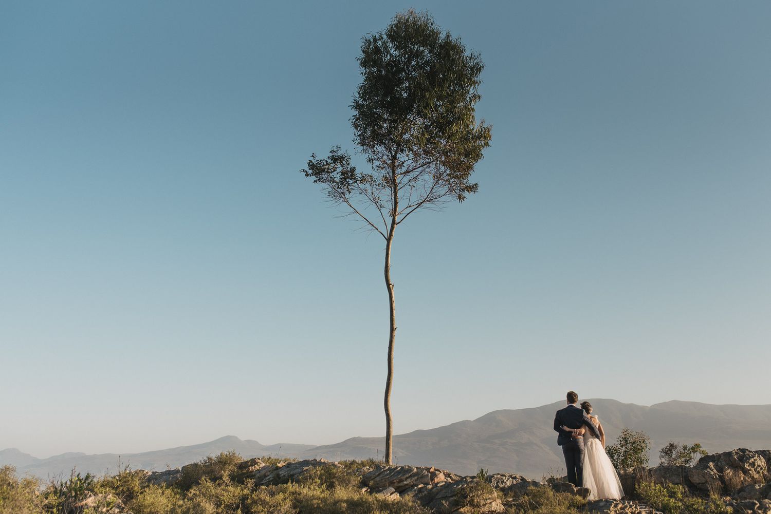 A couple on their wedding day standing next to a tree in Cape Town South Africa