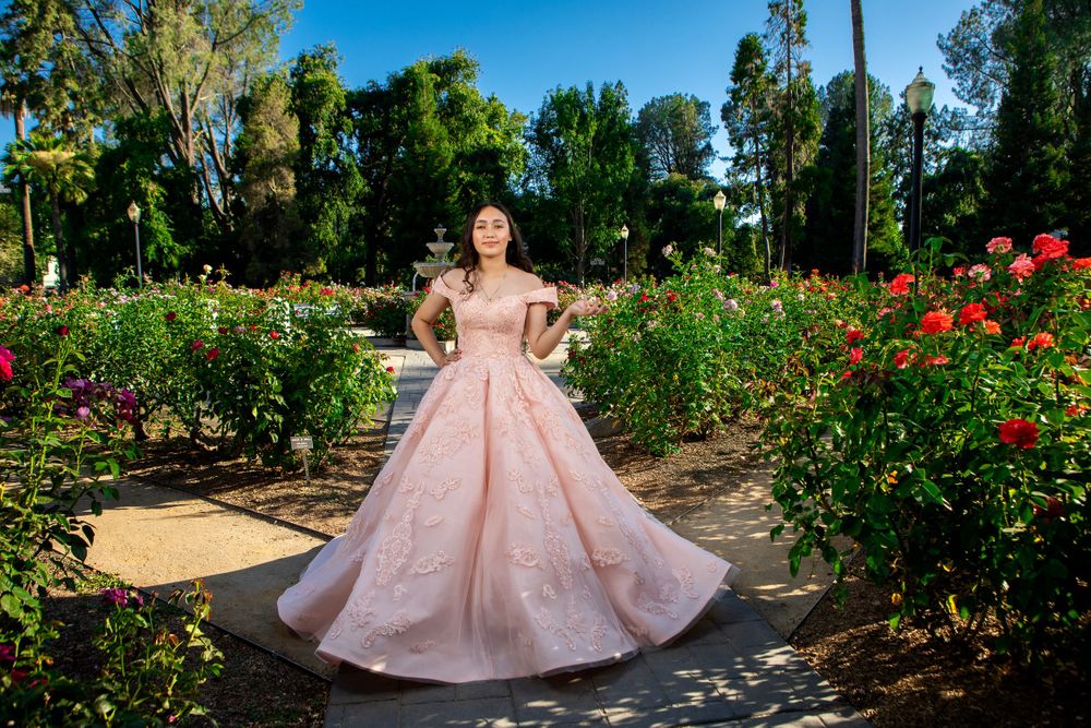 Ethereal pink ballgown captured in blooming rose garden.