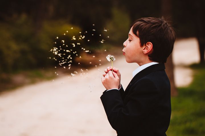 Child in formal attire blowing dandelion seeds in golden afternoon light.
