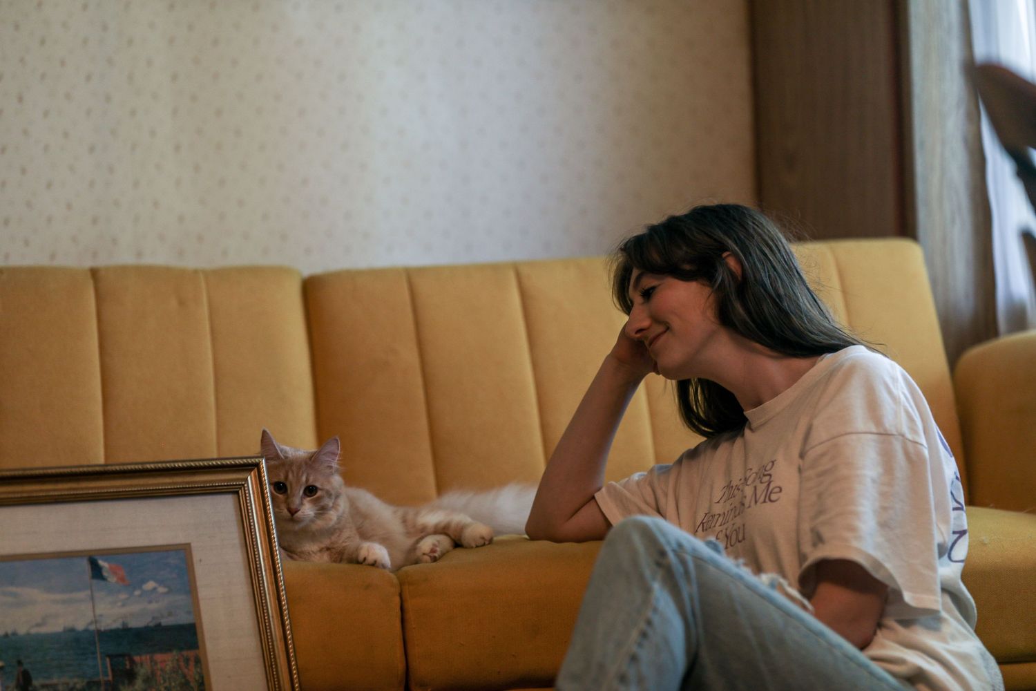 Cat and person relaxing on yellow couch with framed artwork.