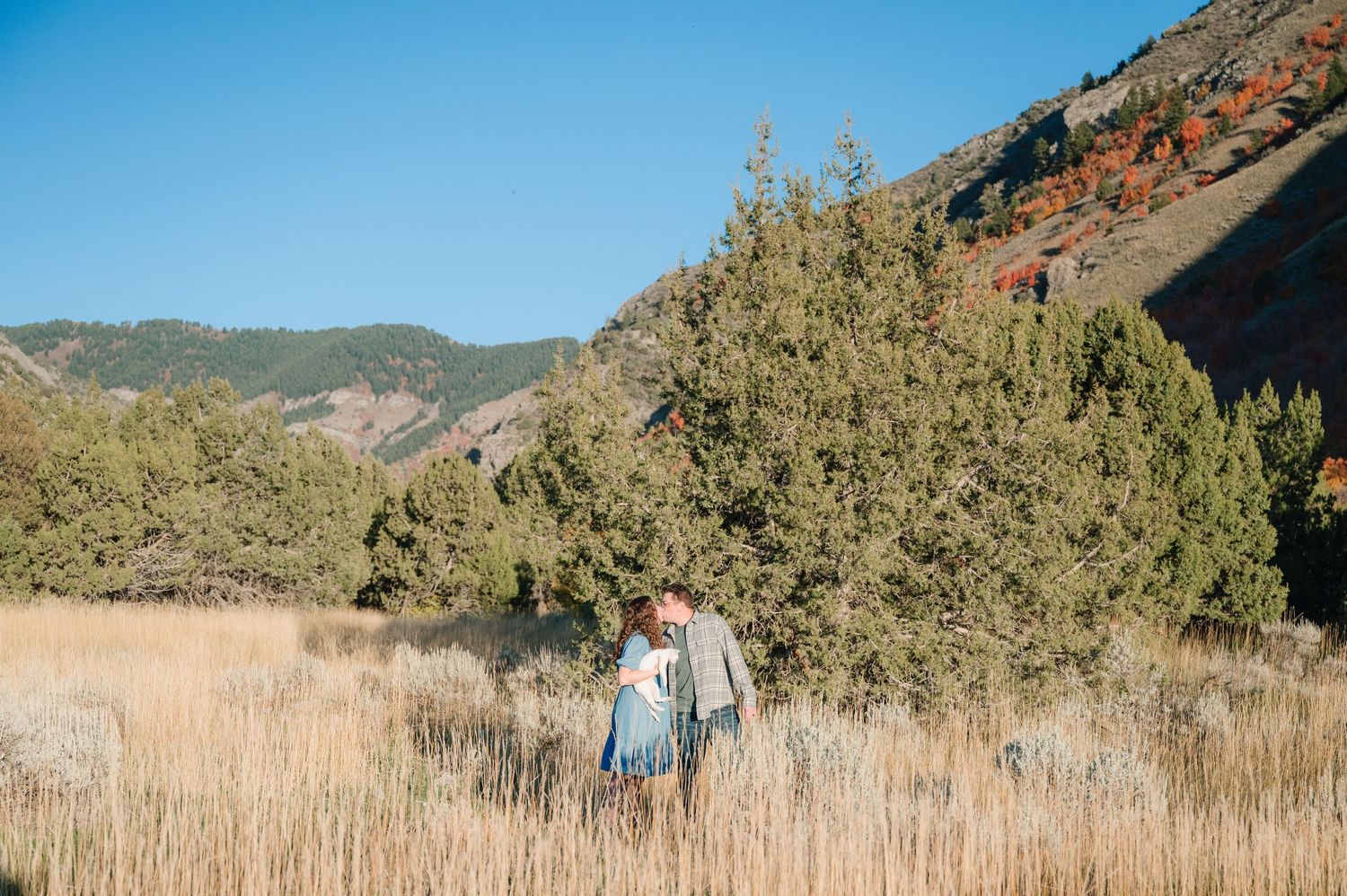 Two people walk through tall grass with mountains and evergreen trees in the background.