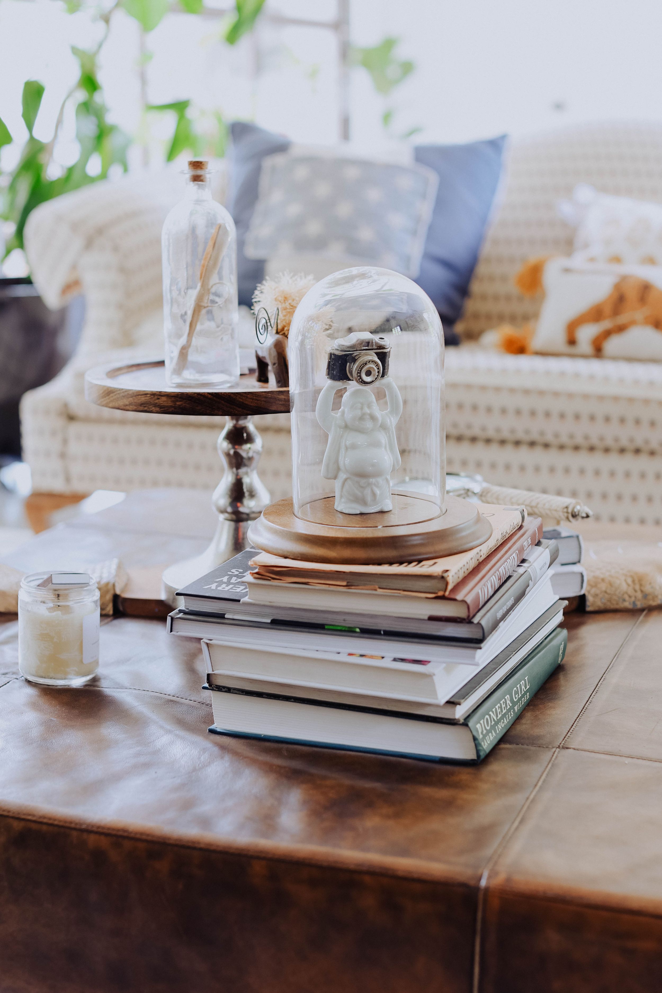Vintage decor arrangement with glass cloche, camera, and stacked books on wooden coffee table.