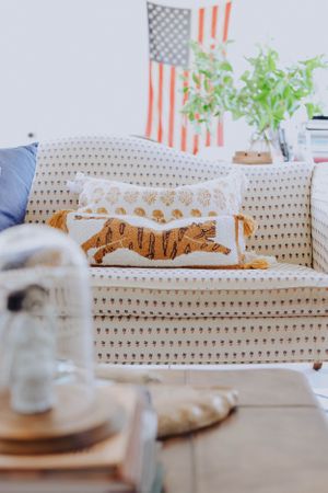 Close-up of a cream sofa with tiger print pillow and American flag decor in background.