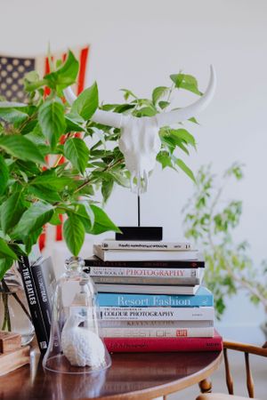 Stack of books with green plants on a wooden table in a bright interior setting.