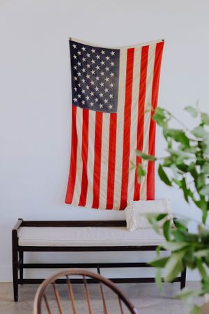 American flag displayed on dark wooden shelf with green plants in foreground.