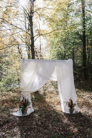 White sheer curtains create an ethereal backdrop for a romantic outdoor photo session in a sunlit autumn forest setting.