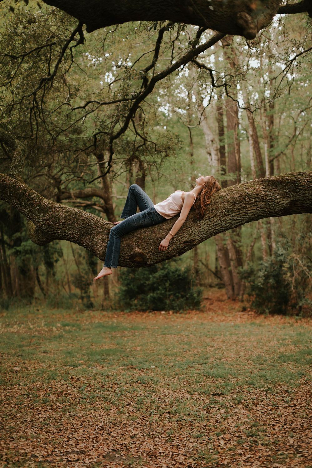 A playful photo sequence of someone lying on a fallen tree trunk in a wooded area.