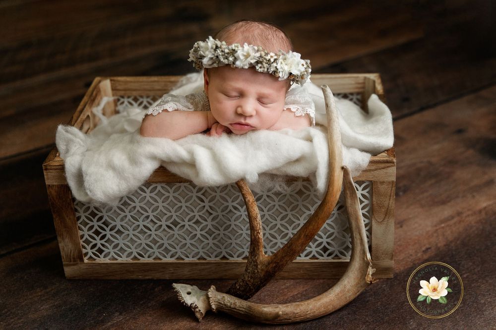newborn baby photography session, Magnolia valley Photography, Philadelphia PA