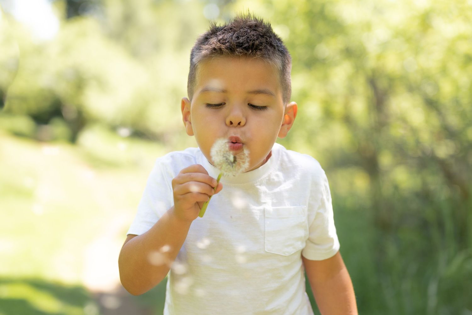 Little boy blowing dandelion's.