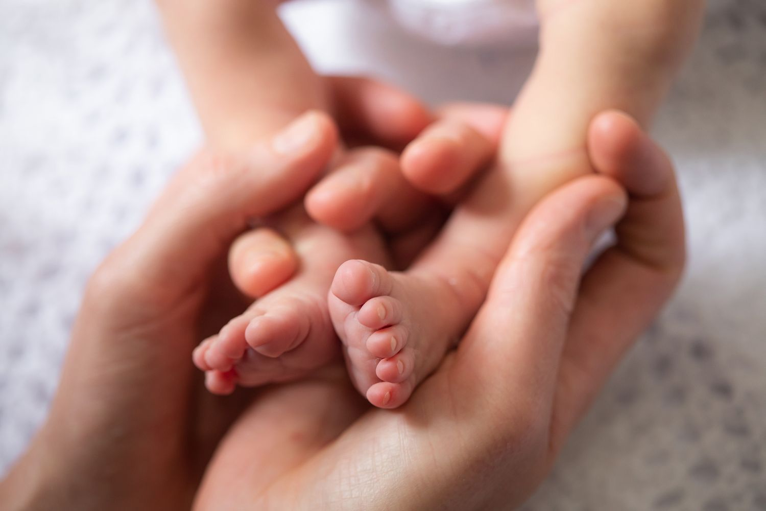 Close up of tiny baby feet being gently held in adult hands.