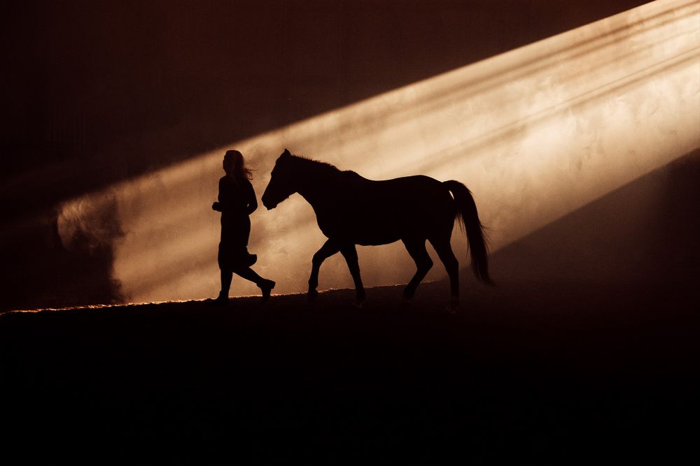 Silhouettes of a horse and person in a dramatic beam of golden light.