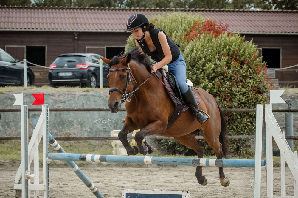 Cheval CSO