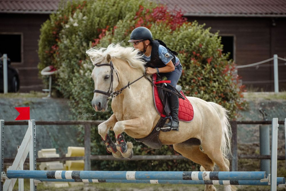 Cheval CSO