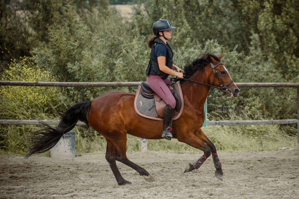 Cheval CSO