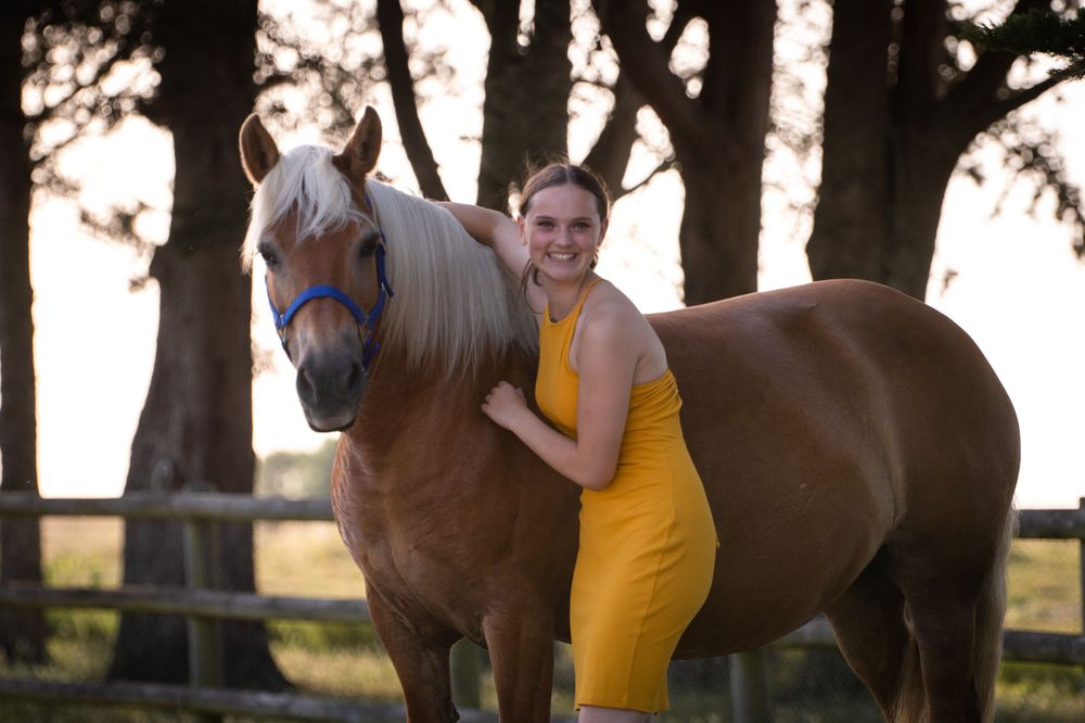 Cheval et sa cavalière