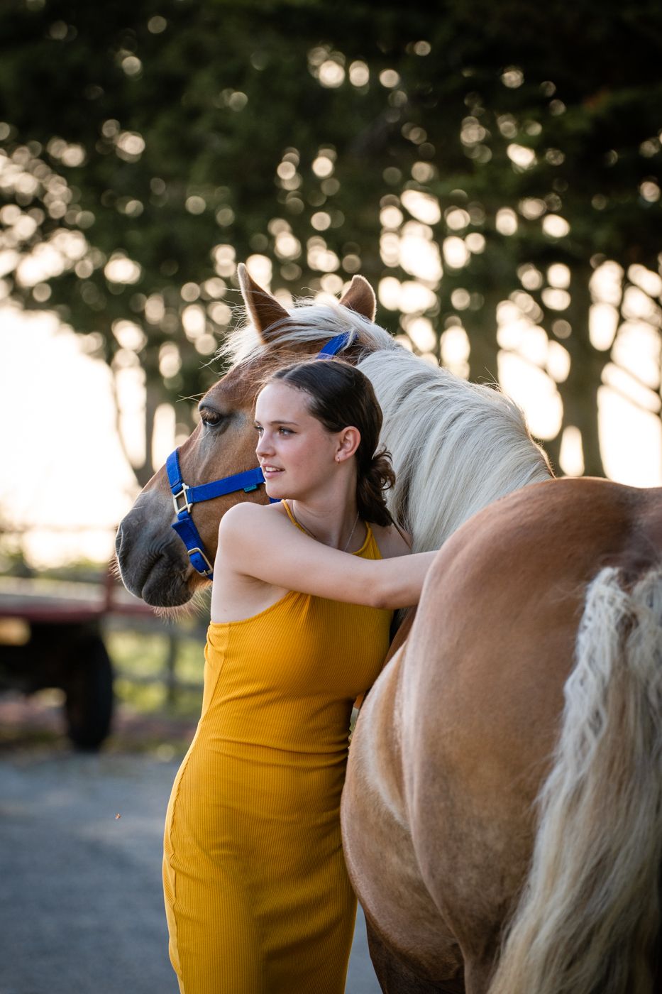 Cheval et sa cavalière