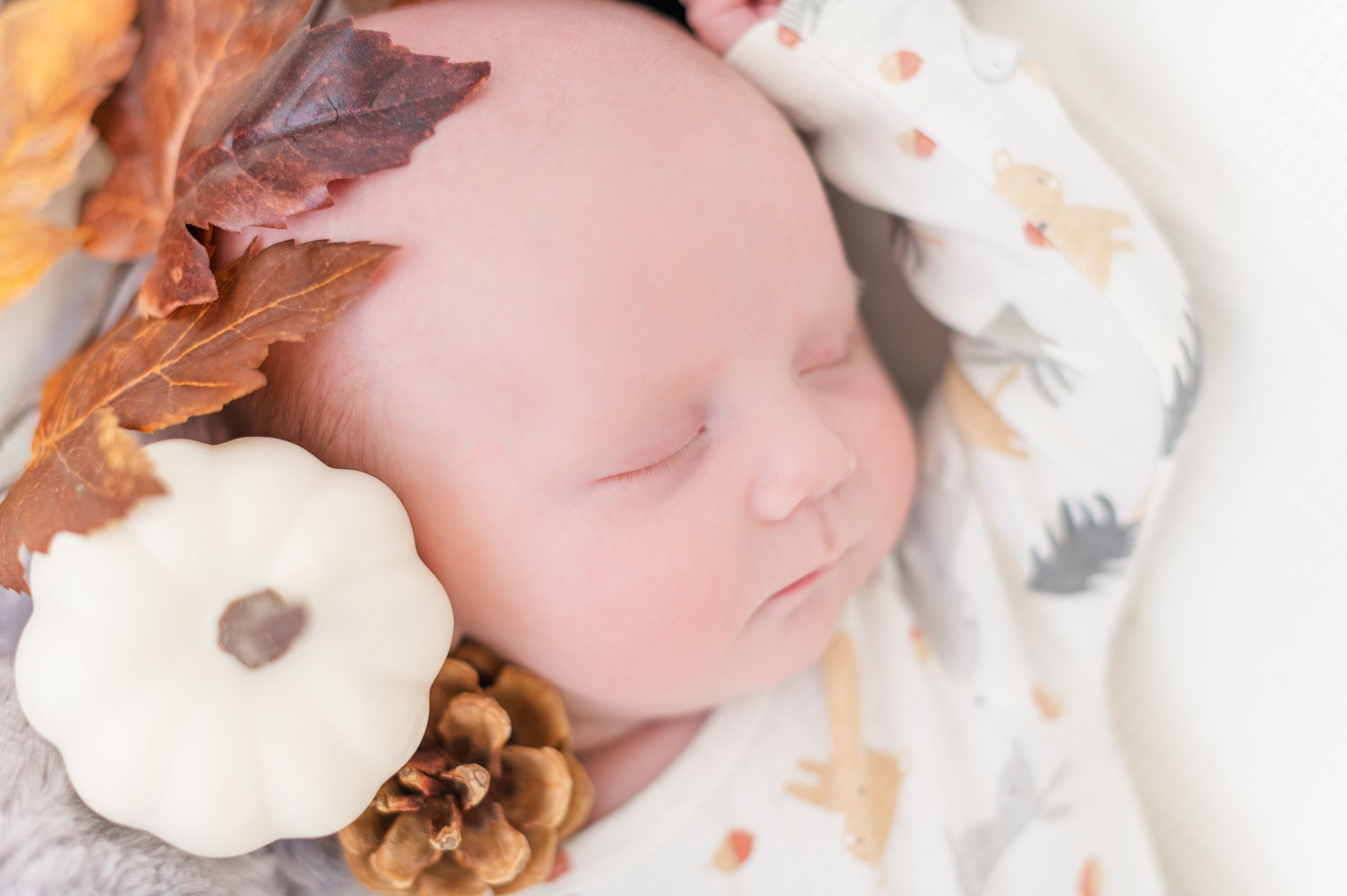 baby with a pumpkin and leaves
