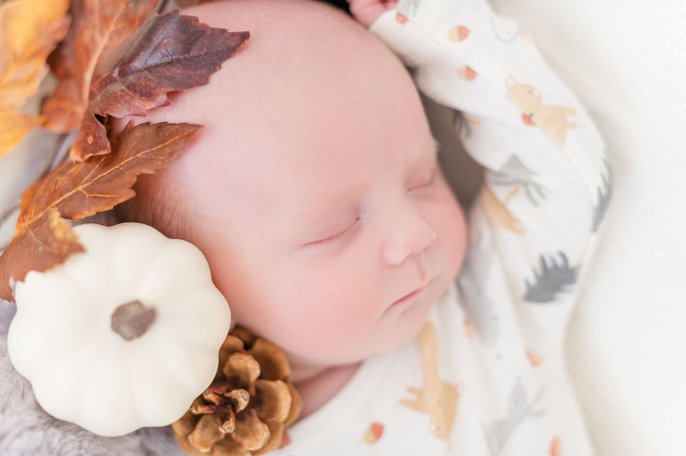 baby with a pumpkin and leaves