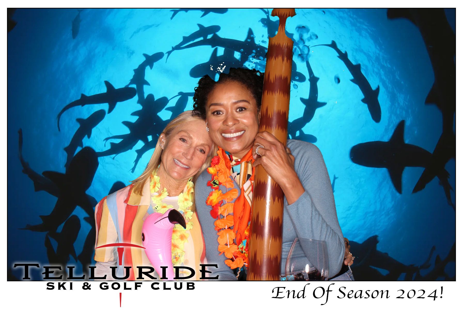Telluride's original Photo Booth rental since 2012!