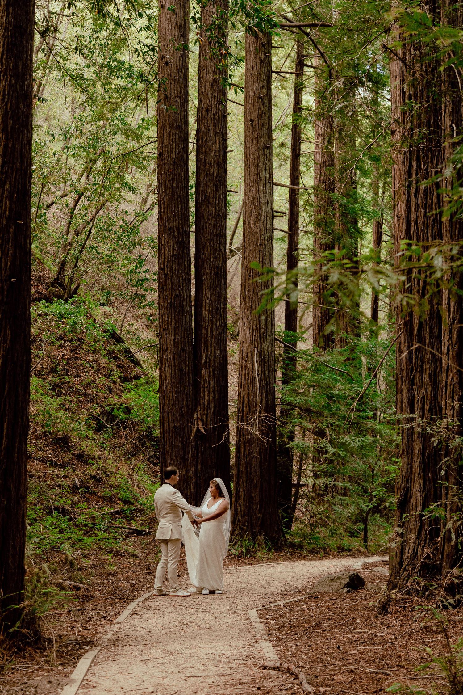A couple walks hand in hand on a forest path surrounded by towering redwood trees.