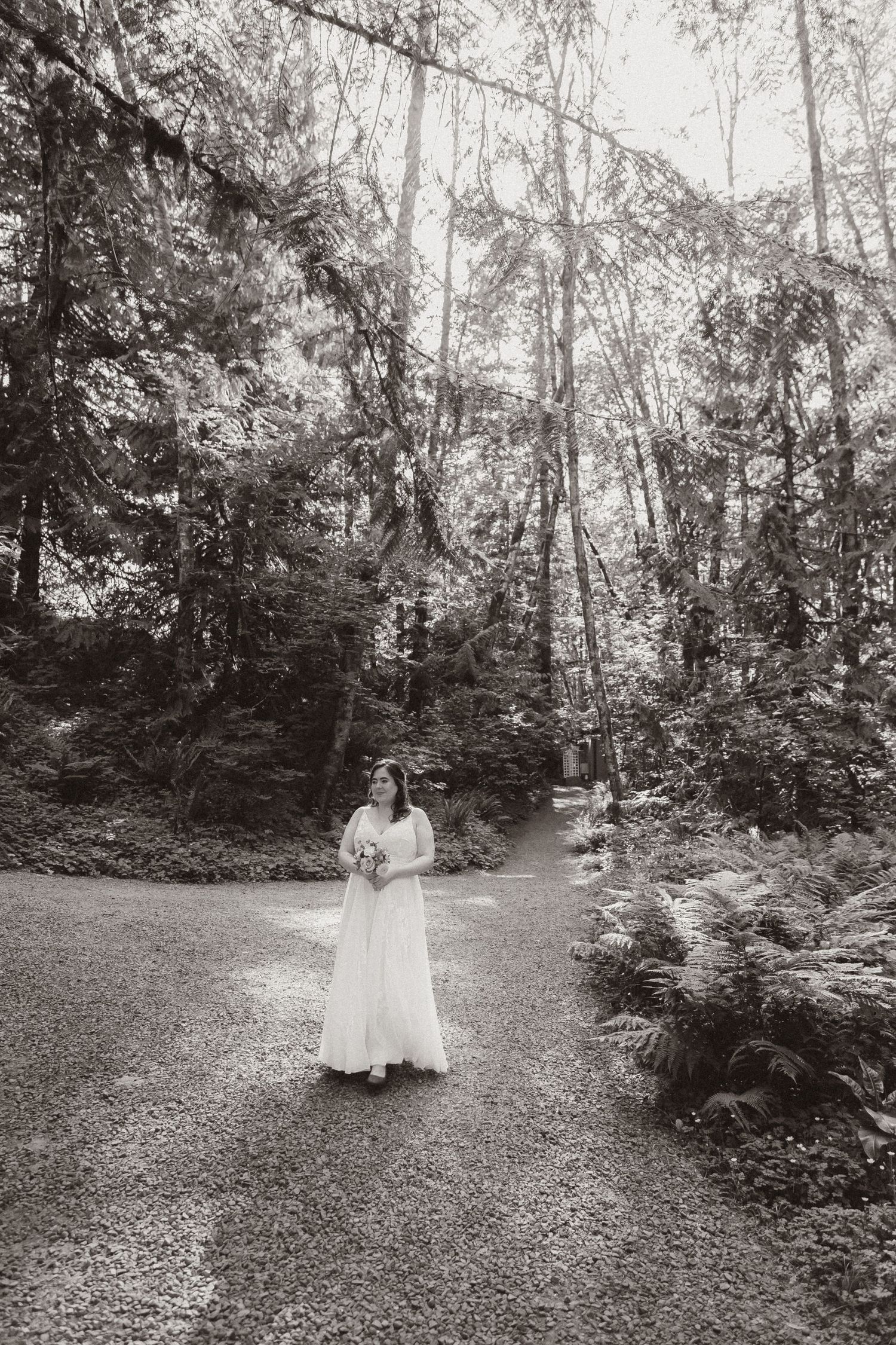 A bride in a white dress stands on a gravel path surrounded by tall trees and ferns in a forest setting.