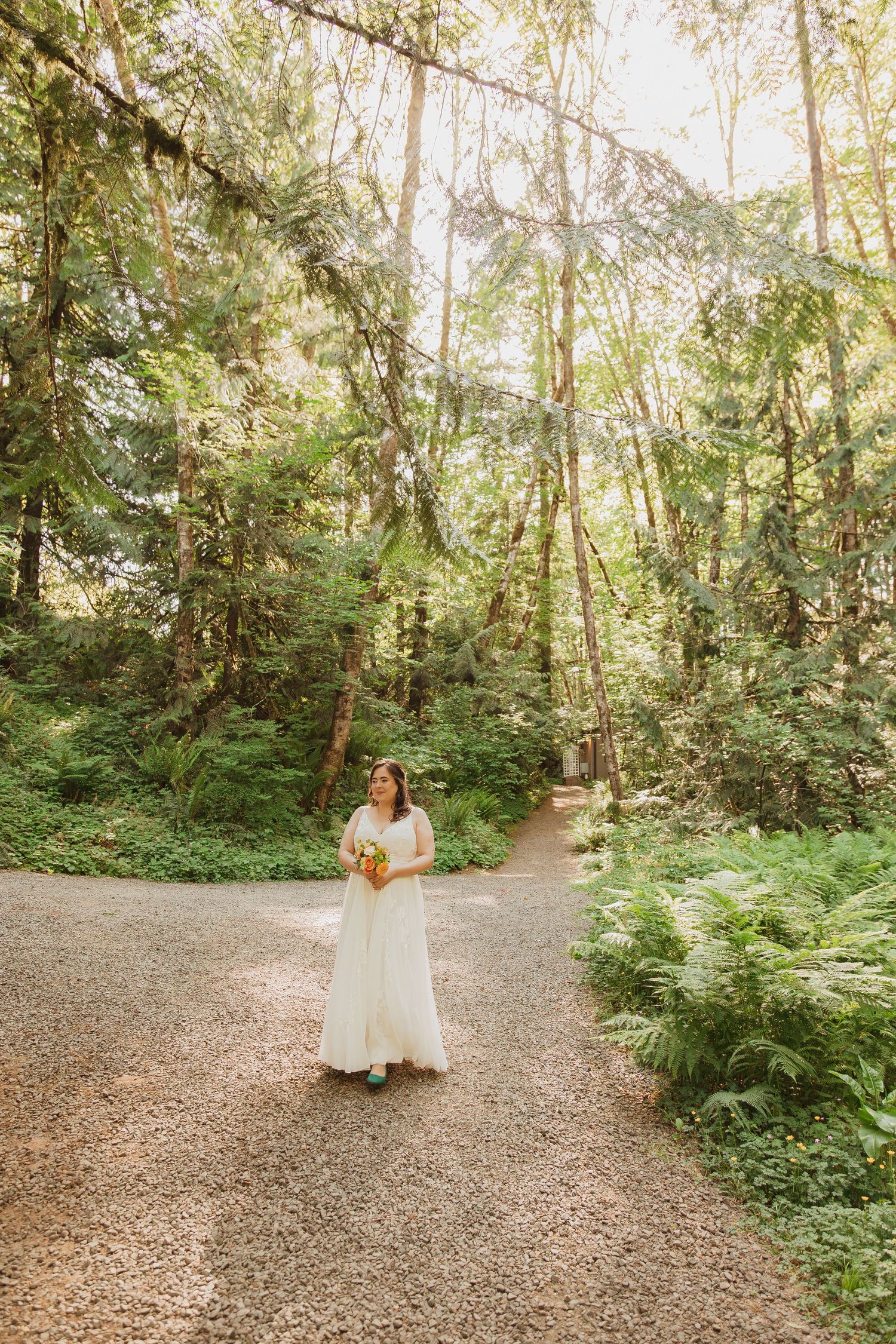 A bridal portrait in a lush forest setting with sunlight filtering through tall evergreen trees.