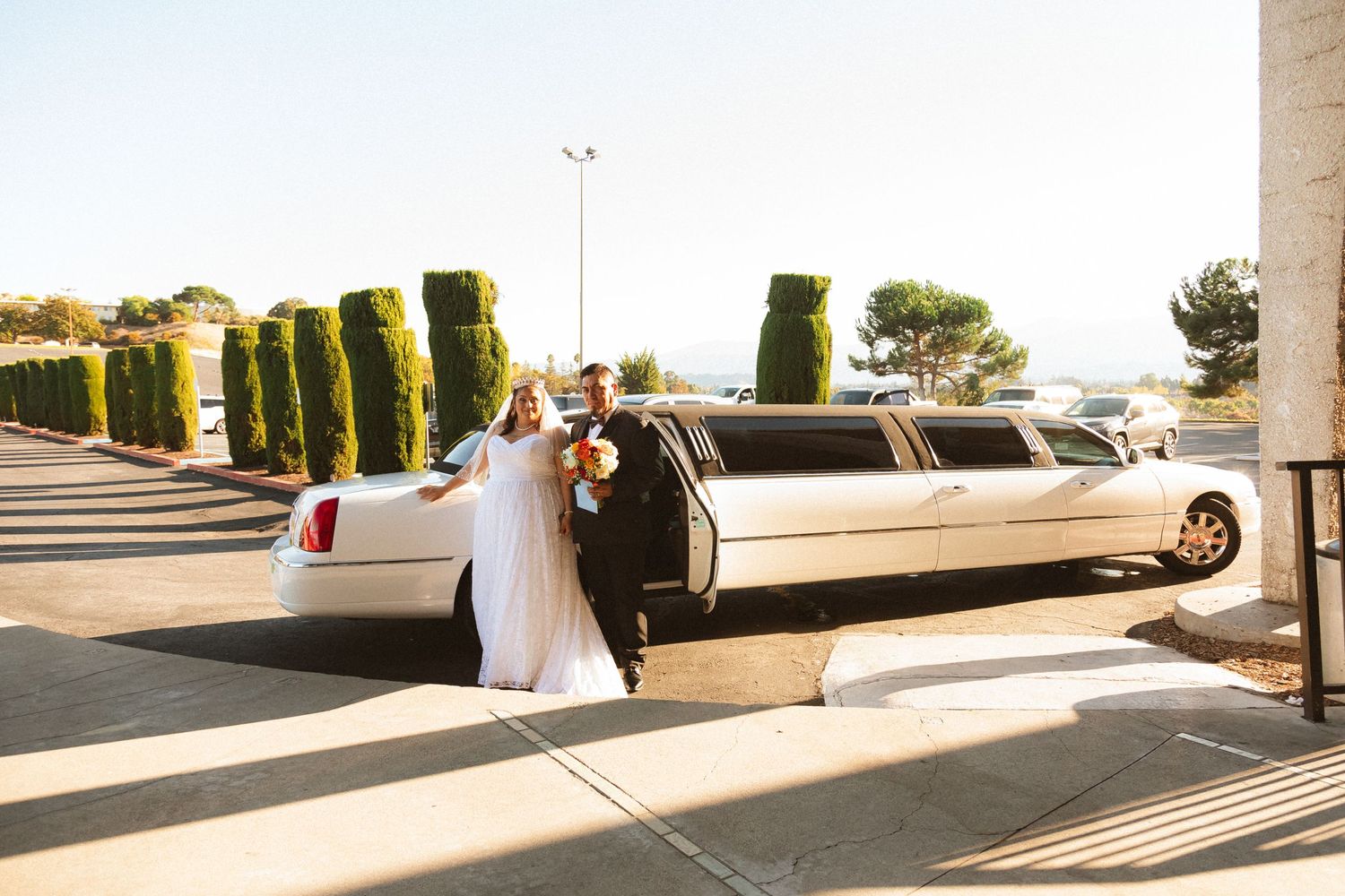 A white stretch limousine parked outside a venue with tall topiary bushes in the background.
