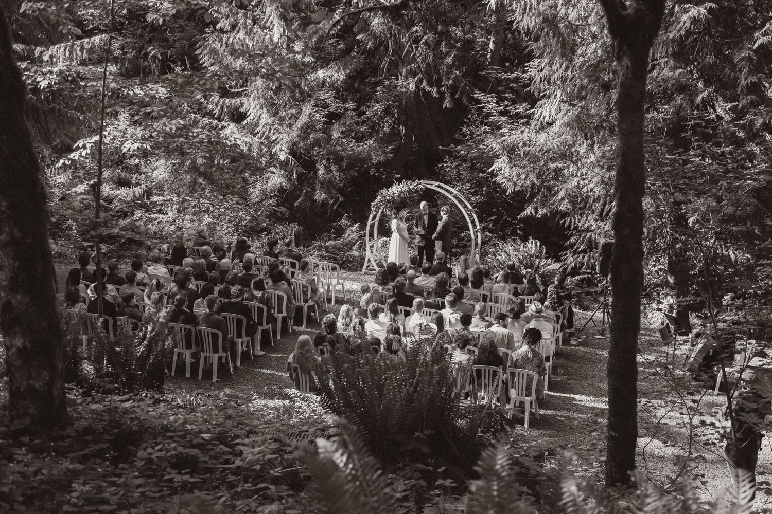 Black and white aerial view of woodland wedding ceremony with guests seated under forest canopy.