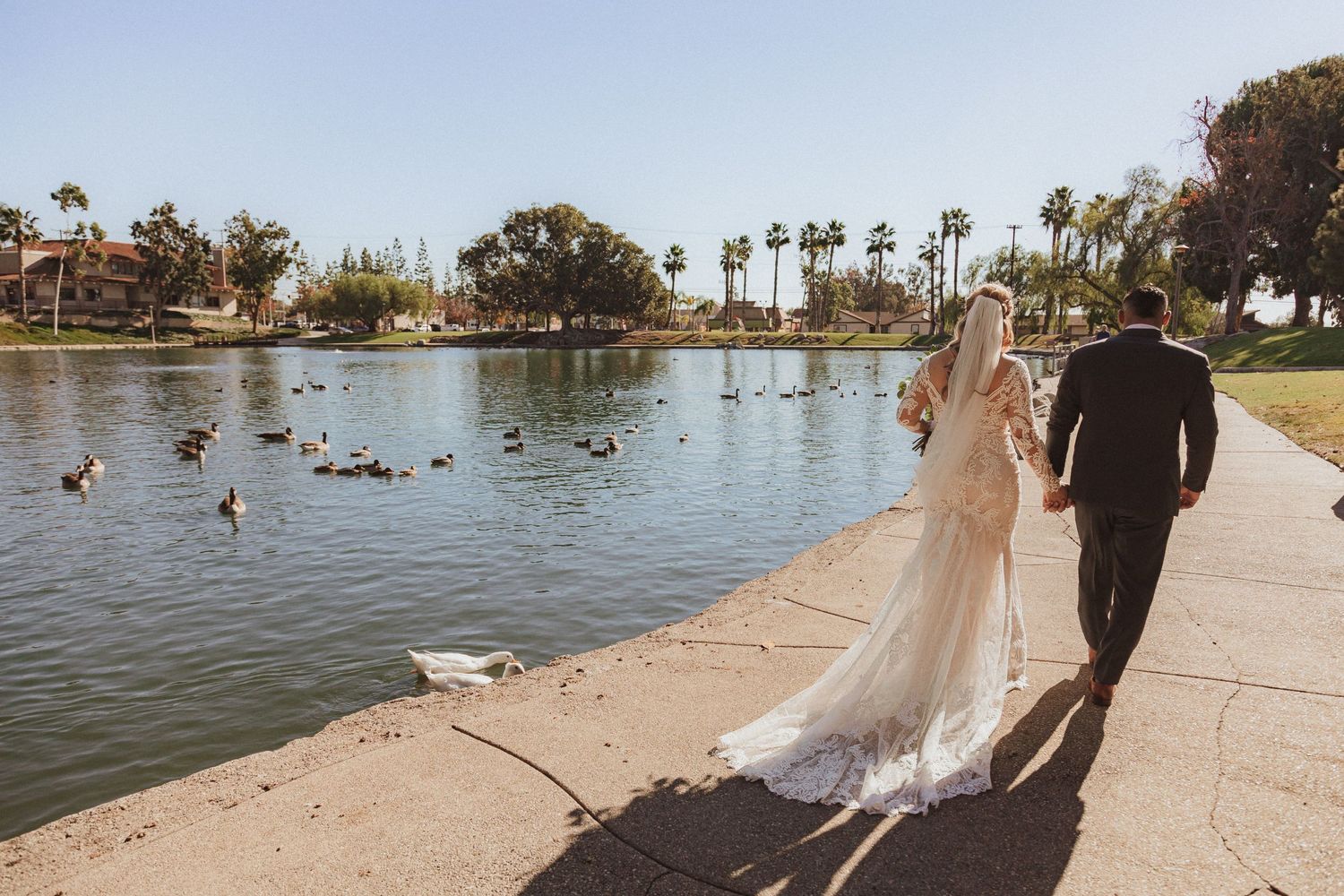 Bride and groom walking along duck pond with palm trees on sunny wedding day.