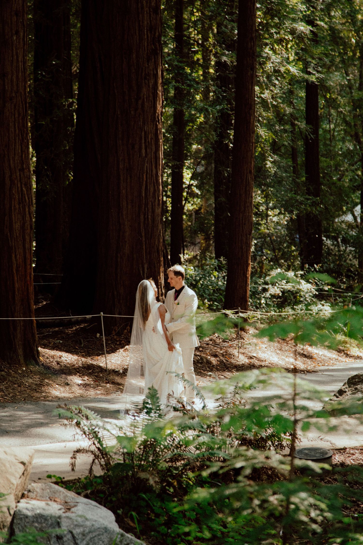 A romantic wedding photoshoot in a majestic redwood forest with towering trees and dappled sunlight.