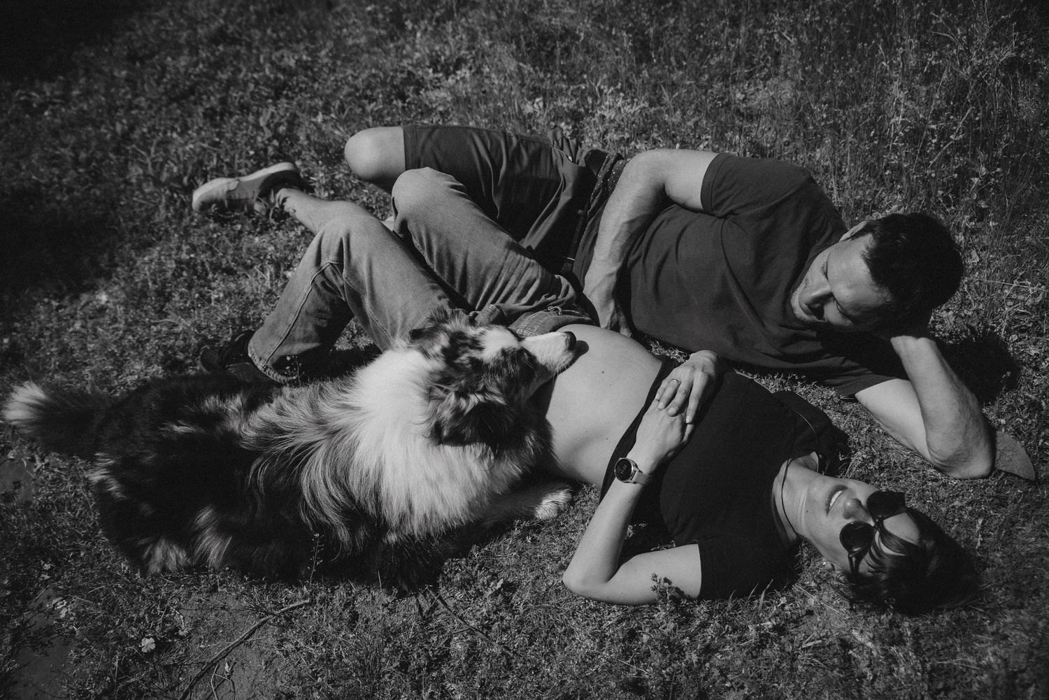 Black and white sequence showing people and dogs relaxing on grass.