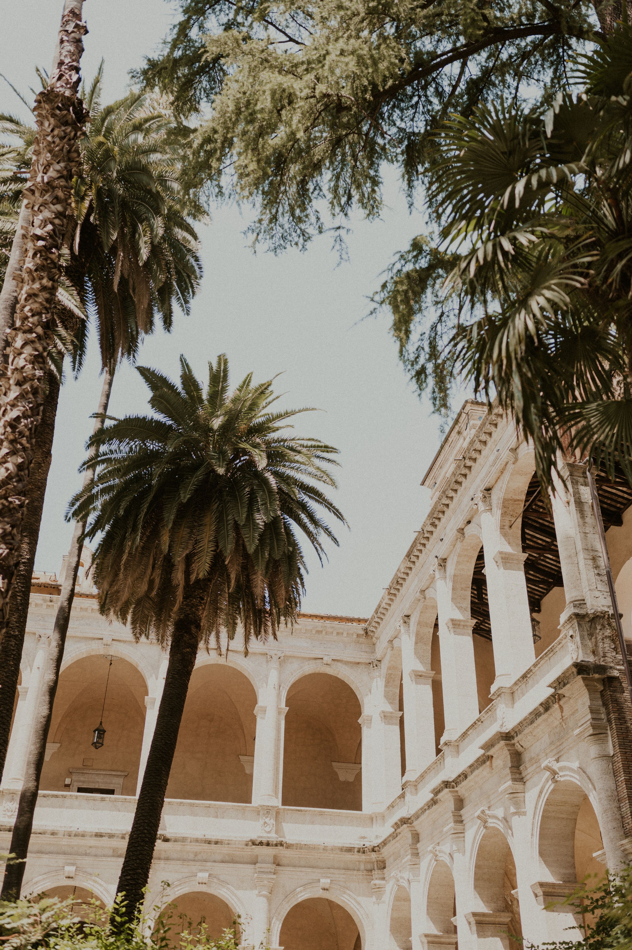 Classical Italian courtyard with arched colonnade and towering palm trees in warm sunlight.