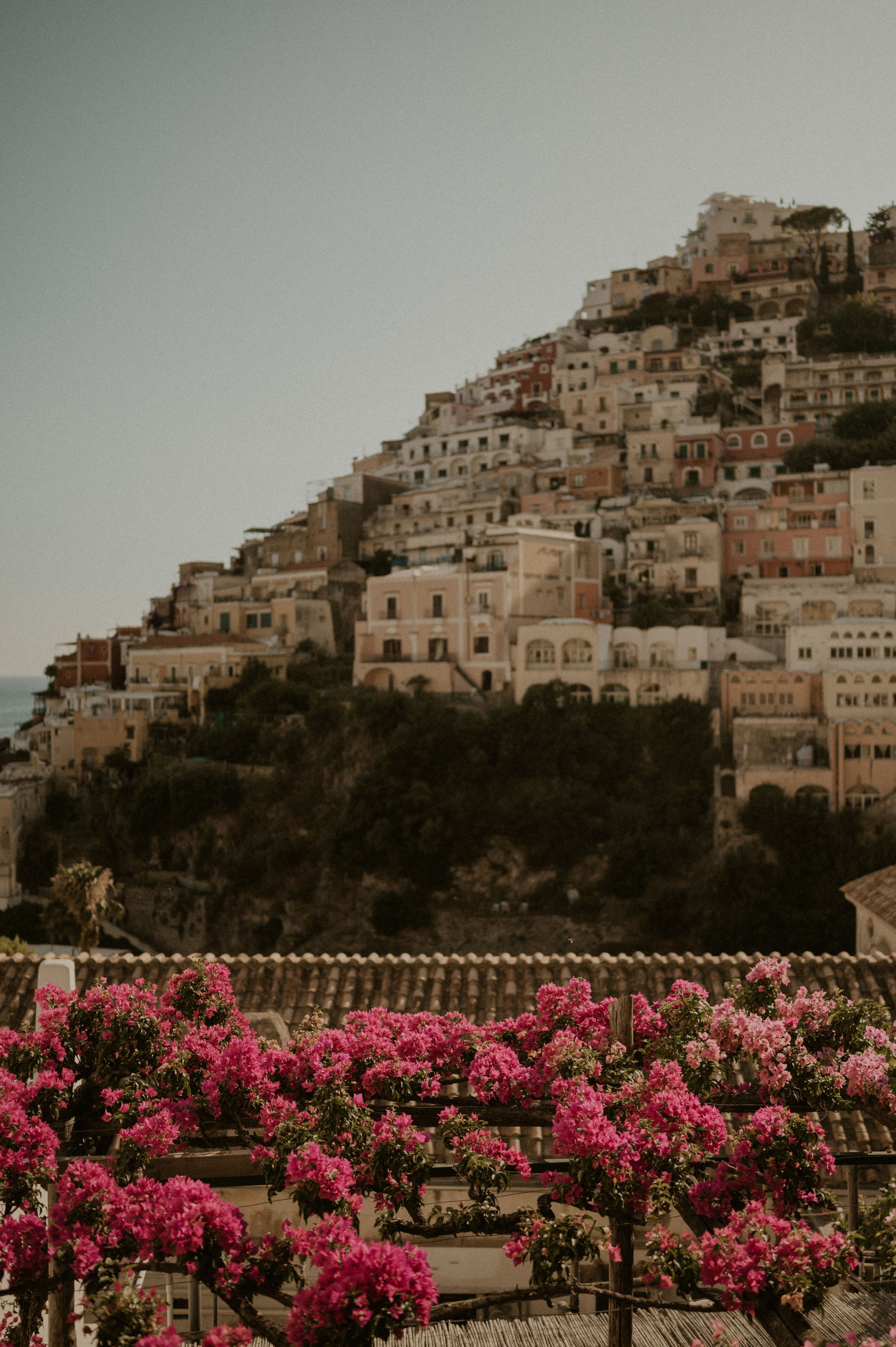 Vibrant pink bougainvillea flowers frame the stunning hillside architecture of Positano, Italy.