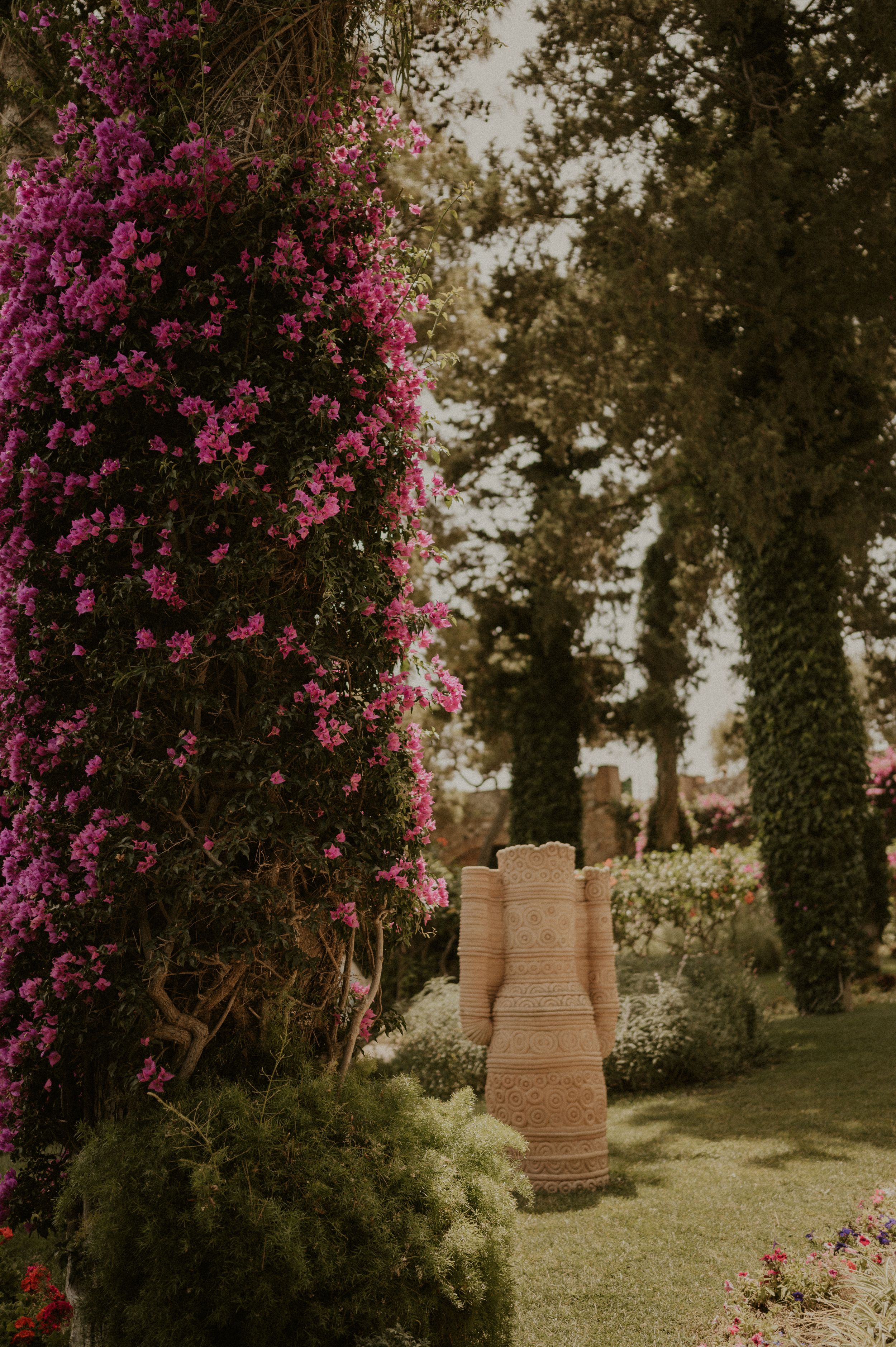 Lush Mediterranean garden with bright pink bougainvillea and terracotta pots among cypress trees.