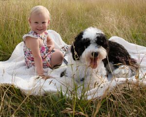 Child Photographer, Children portraits, South Carolina photographer, pet portraits