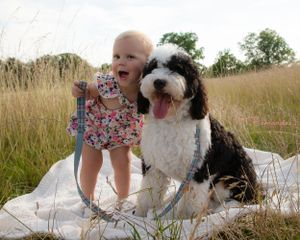 pet portraits, child portraits, South Carolina photographer