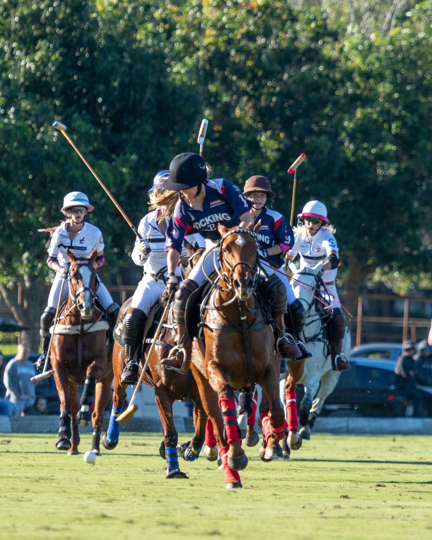 Polo