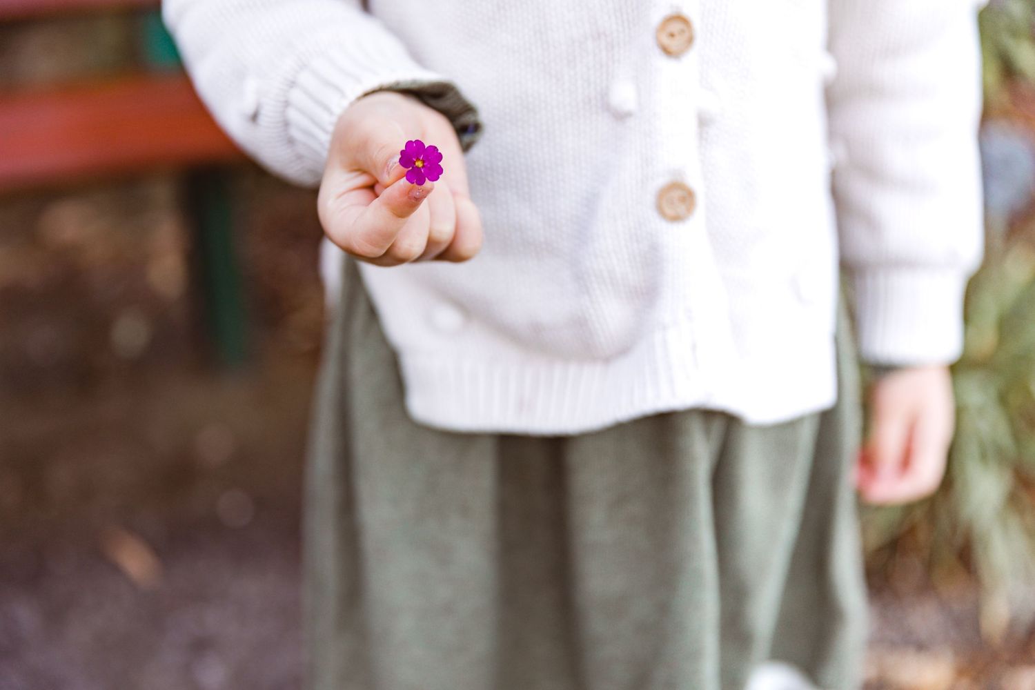 Child holding a flower during a Brisbane family photo shoot
