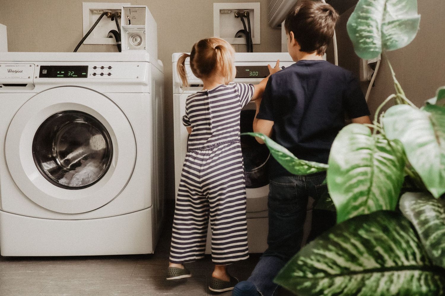 Modern laundry room with washing machines and indoor plants.