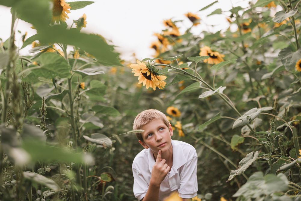 Lifestyle photography in Michigan, capturing authentic moments and everyday beauty