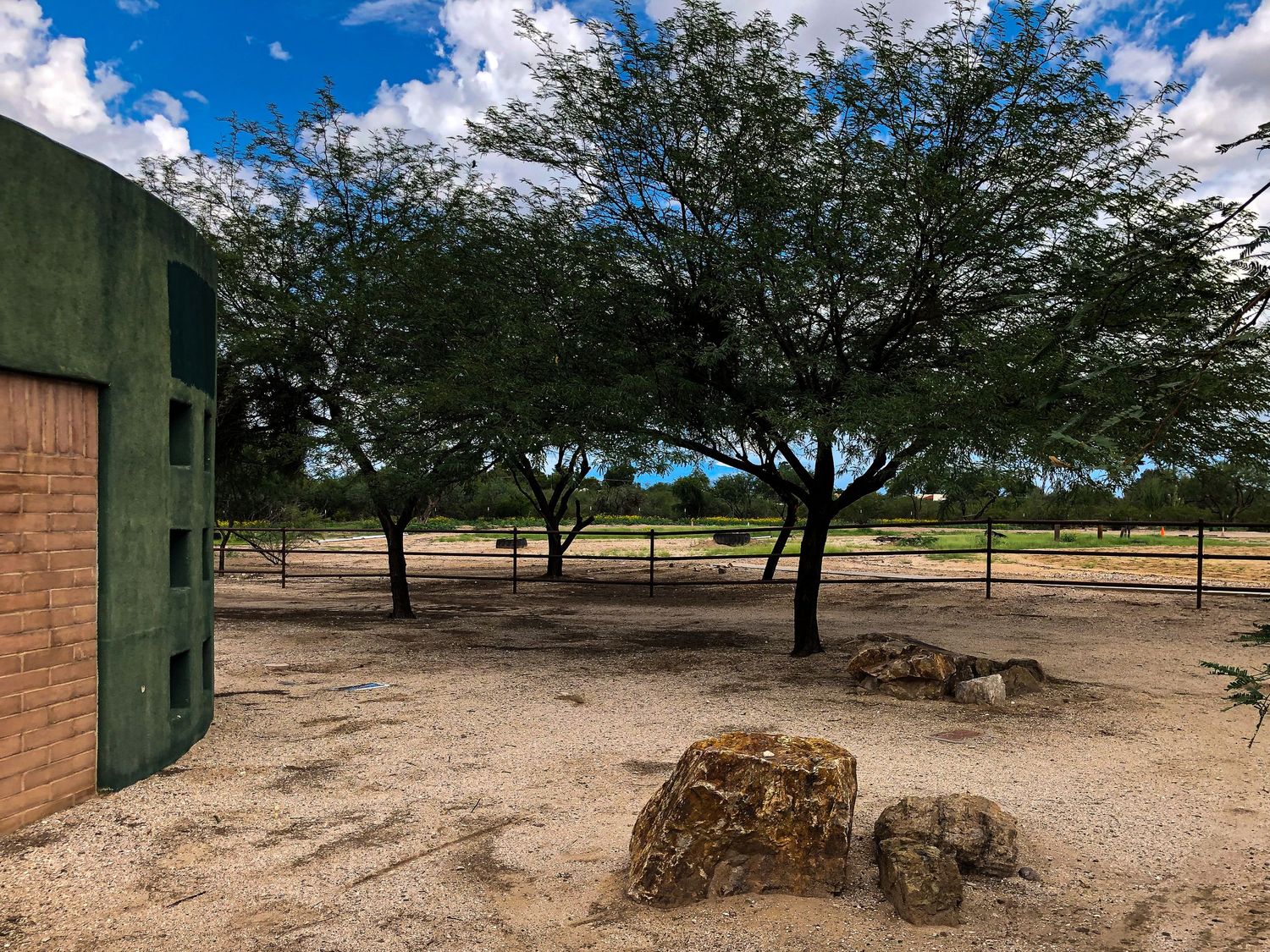 Rio Vista Natural Resource Park is a go to for my family sessions in Central Tucson.