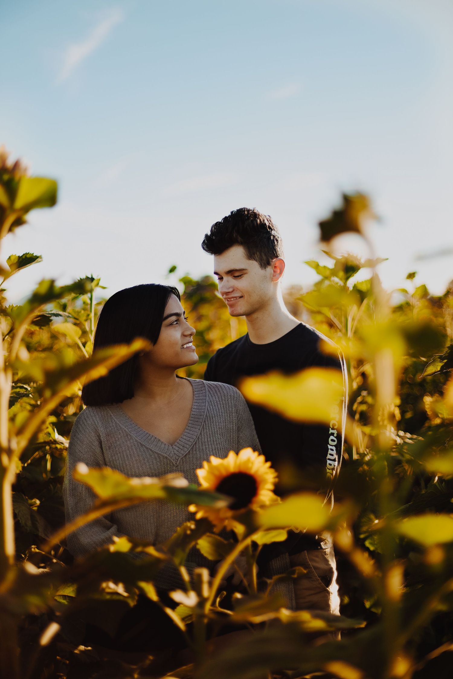 Intimate portrait in sunflower field during golden hour sunset.