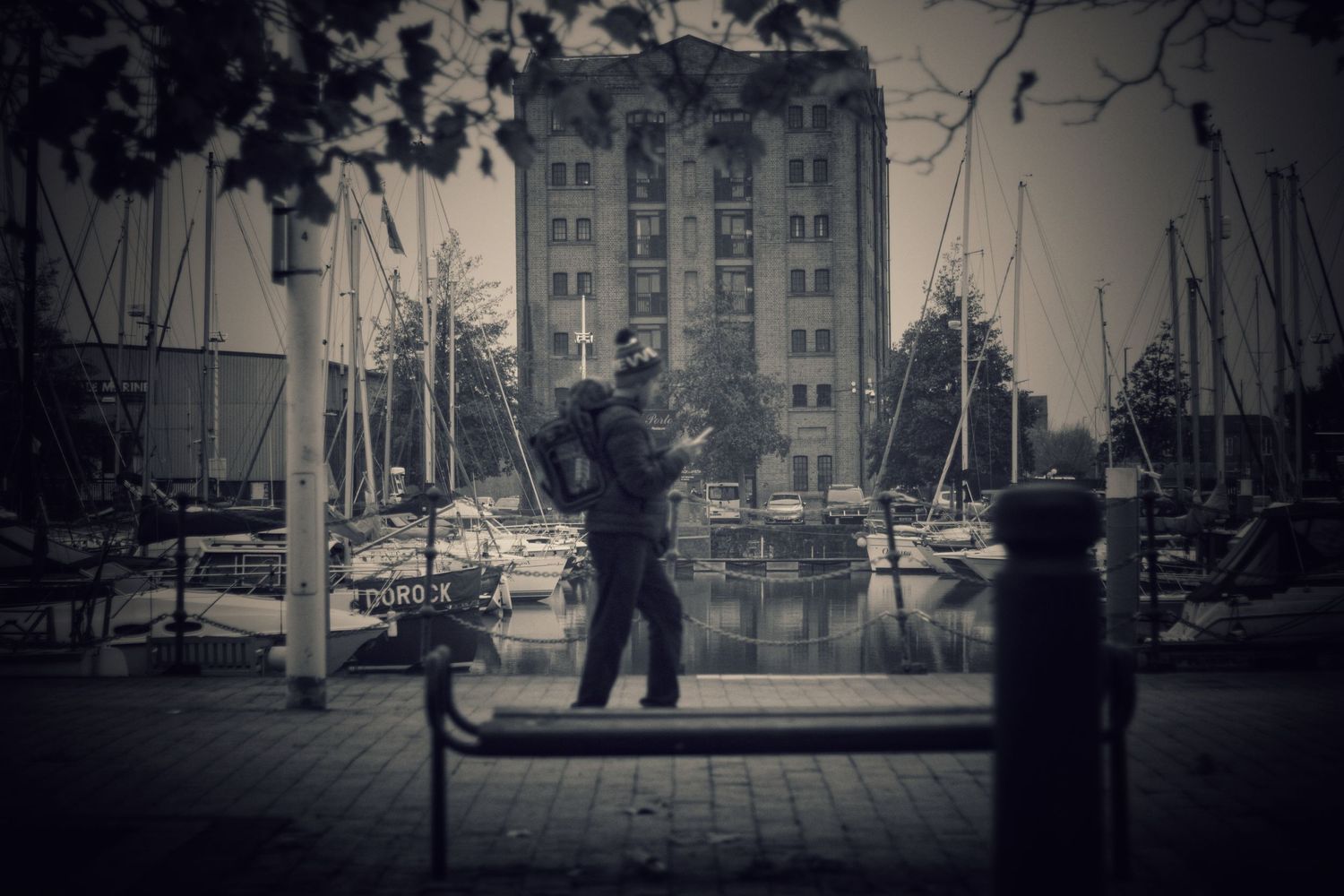 Life goes on, Hull Marina, Hull, UK
