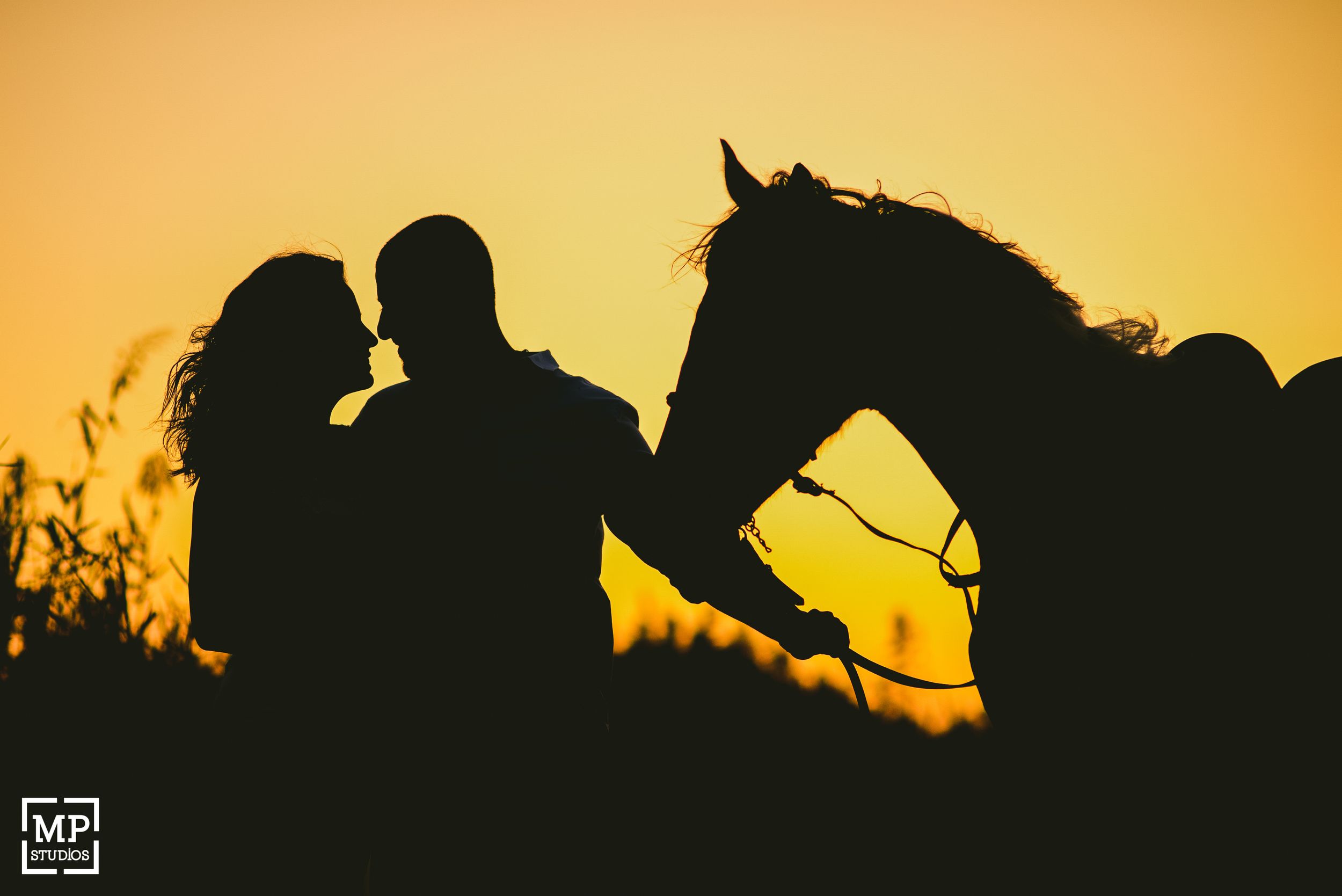 Silhouettes of a couple and horse against a vibrant sunset sky.