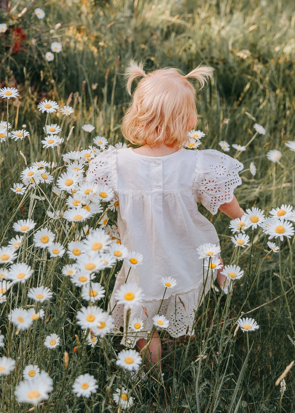 Mother and daughter photography session in daisy fields located in victoria BC canada. Spruce and meadow photography