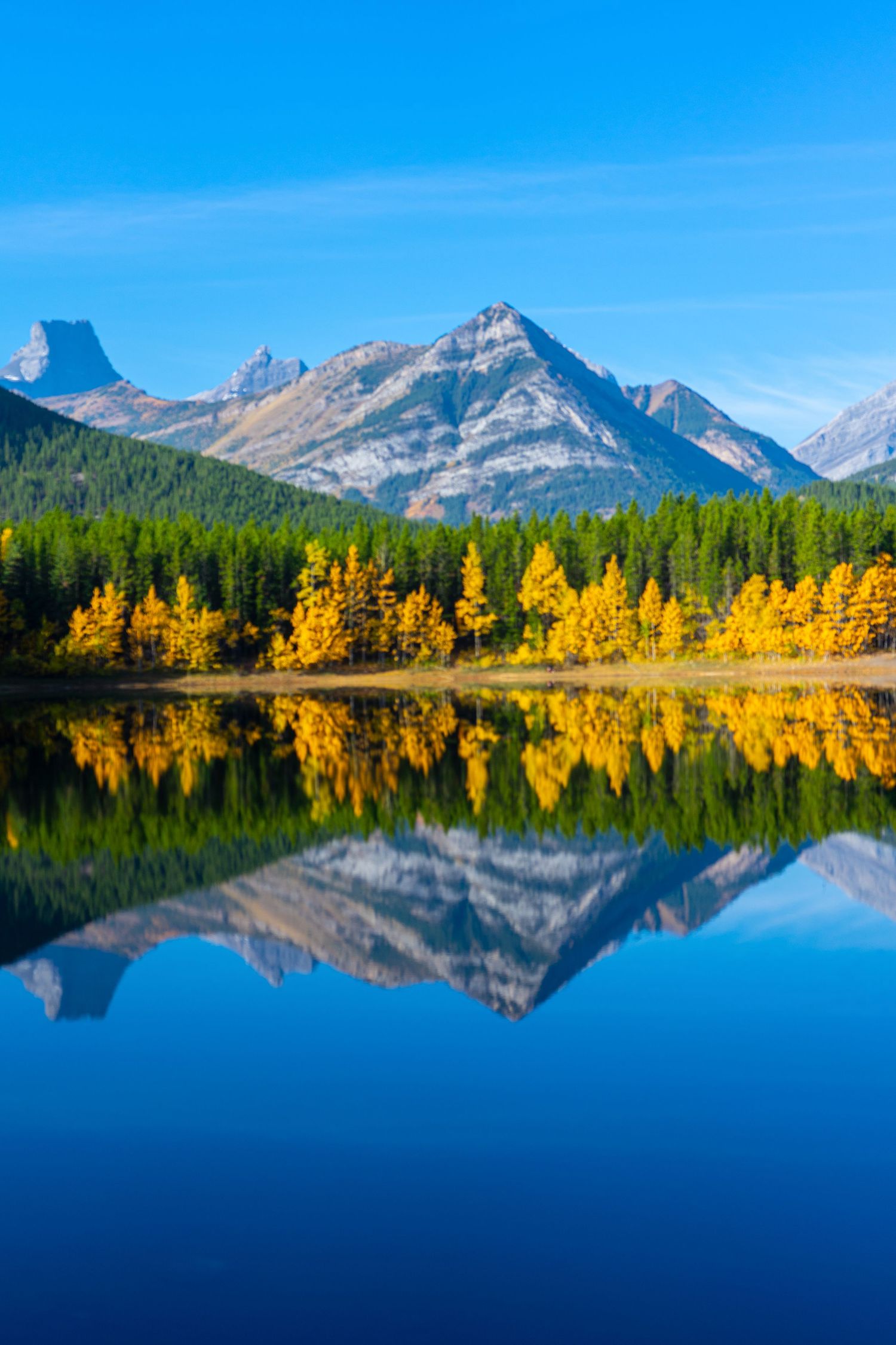 Mirror-like mountain lake reflecting golden autumn trees and rugged peaks against bright blue sky.