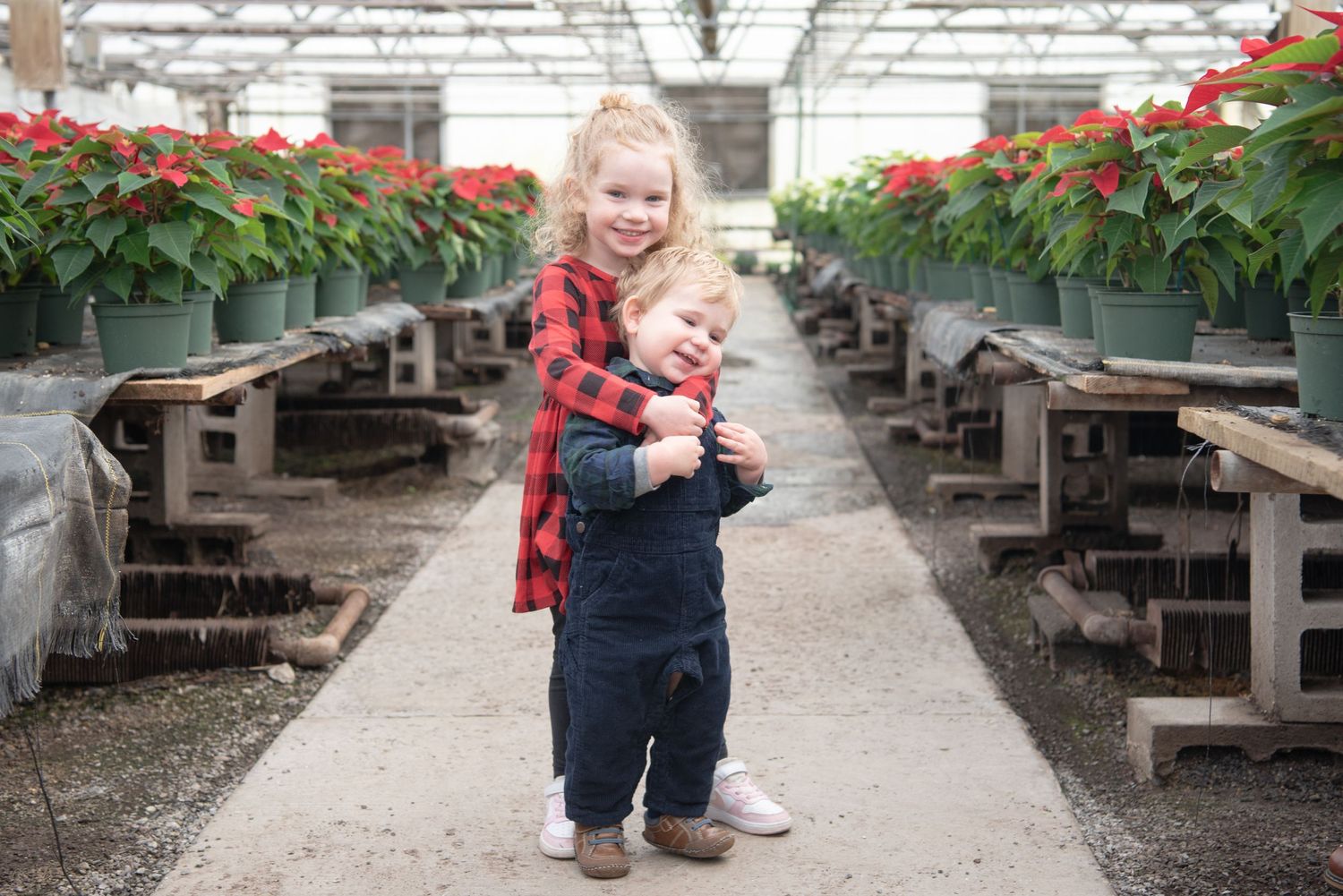 Mini Sessions