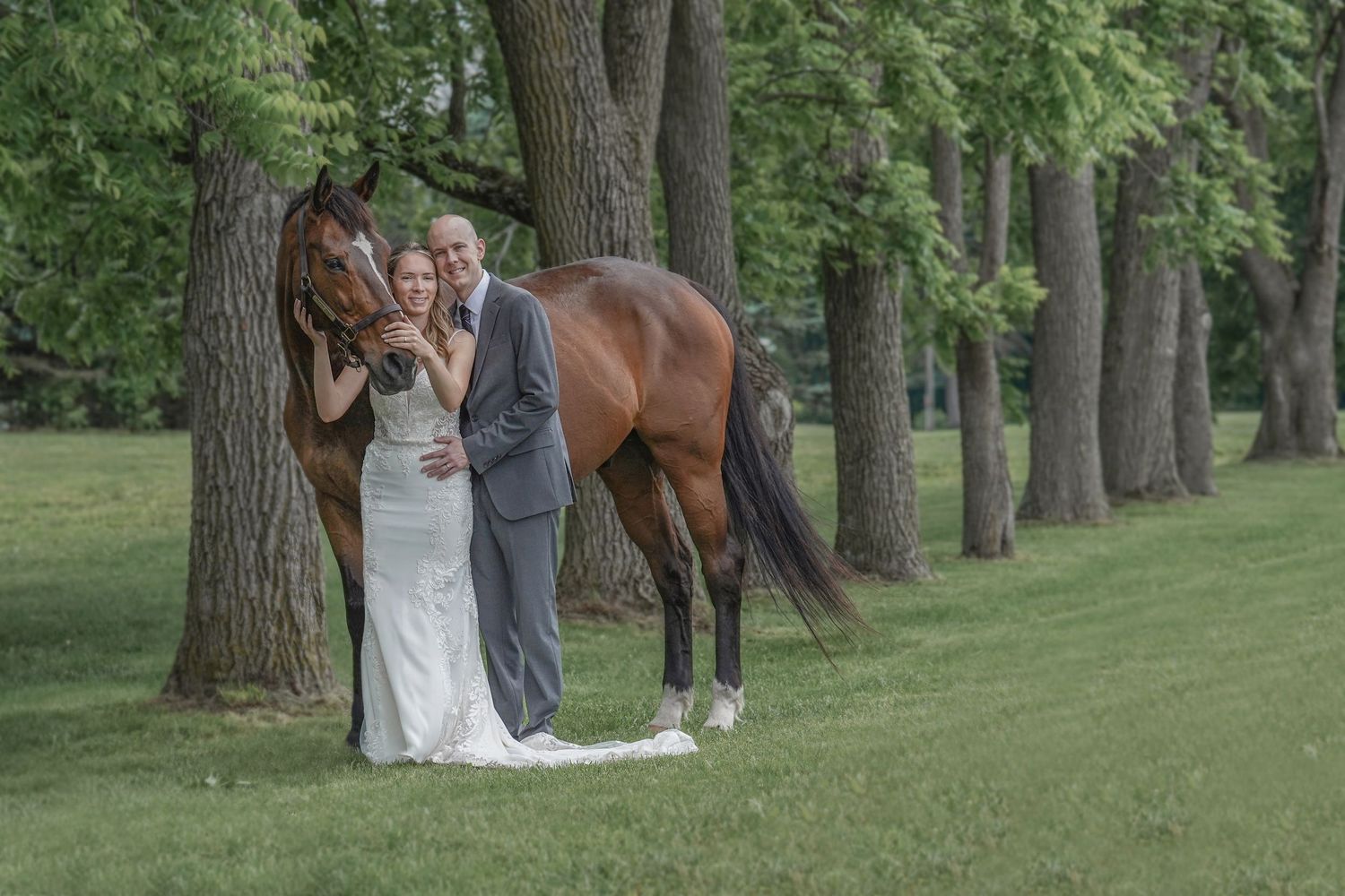 A couple in wedding attire stands together on grass near a brown horse and large trees in a peaceful outdoor setting.