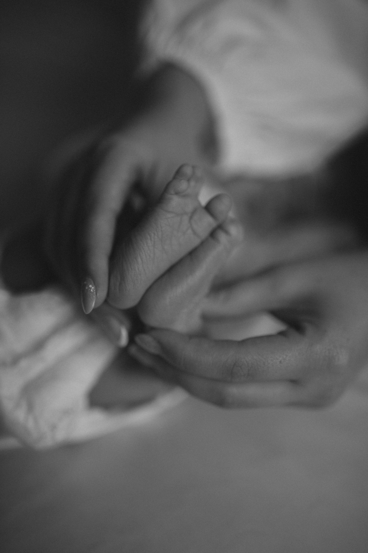 Close-up black and white photograph of tiny baby feet being gently held.