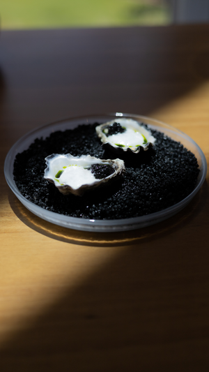 Fresh oysters served on dark granules with white creamy sauce in a modern presentation.